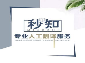 从无到有,秒知教育培训人工翻译服务的发展历程